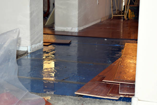 Professional Burst Pipe Cleanup technician working in Rome, IL